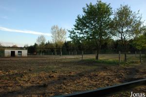 Enclosure for European bisons